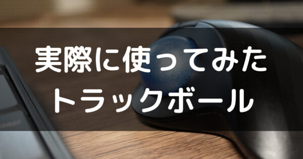 【トラックボールとは?】実際に使ってみたトラックボール【仕事の効率化や腱鞘炎予防にも】